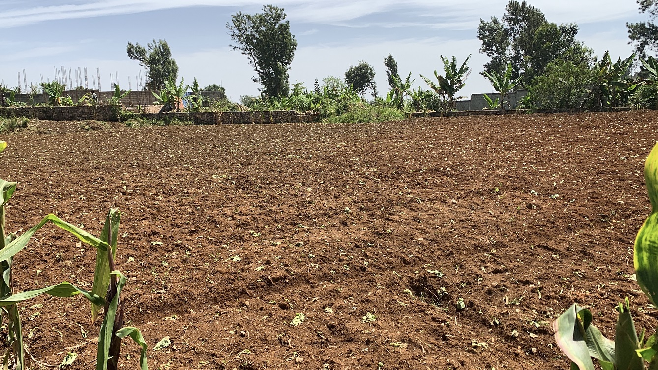 Premium Clear Title Land for Residential, Commercial Construction, or Farming for Sale in Fort-Jacques, Kenscoff, Haiti – 25 Centiemes (3,225m², 34,714ft², or 0.80 Acres) with Nicely Paved Roads, 100% Secrure Suburban Neighborhood, Very Flat, Build-Ready, Completely Fenced & Gated – Build a Luxury House, Home, Mansion, an Apartment Complex, Airbnb or Bed & Breakfast Business, or Simply Farm