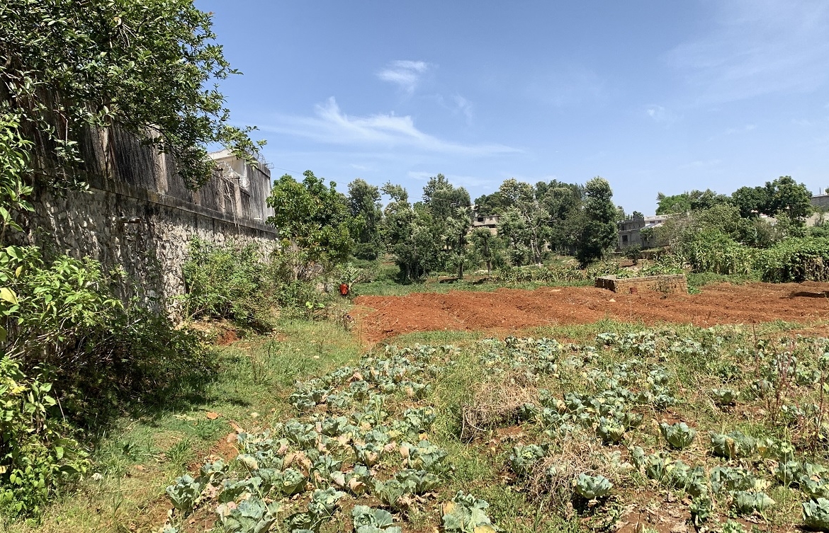 Premium Clear Title Land for Residential, Commercial Construction, or Farming for Sale in Fort-Jacques, Kenscoff, Haiti – 25 Centiemes (3,225m², 34,714ft², or 0.80 Acres) with Nicely Paved Roads, 100% Secrure Suburban Neighborhood, Very Flat, Build-Ready, Completely Fenced & Gated – Build a Luxury House, Home, Mansion, an Apartment Complex, Airbnb or Bed & Breakfast Business, or Simply Farm