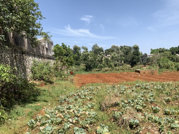 Premium Clear Title Land for Sale in Fort-Jacques, Kenscoff, Haiti
