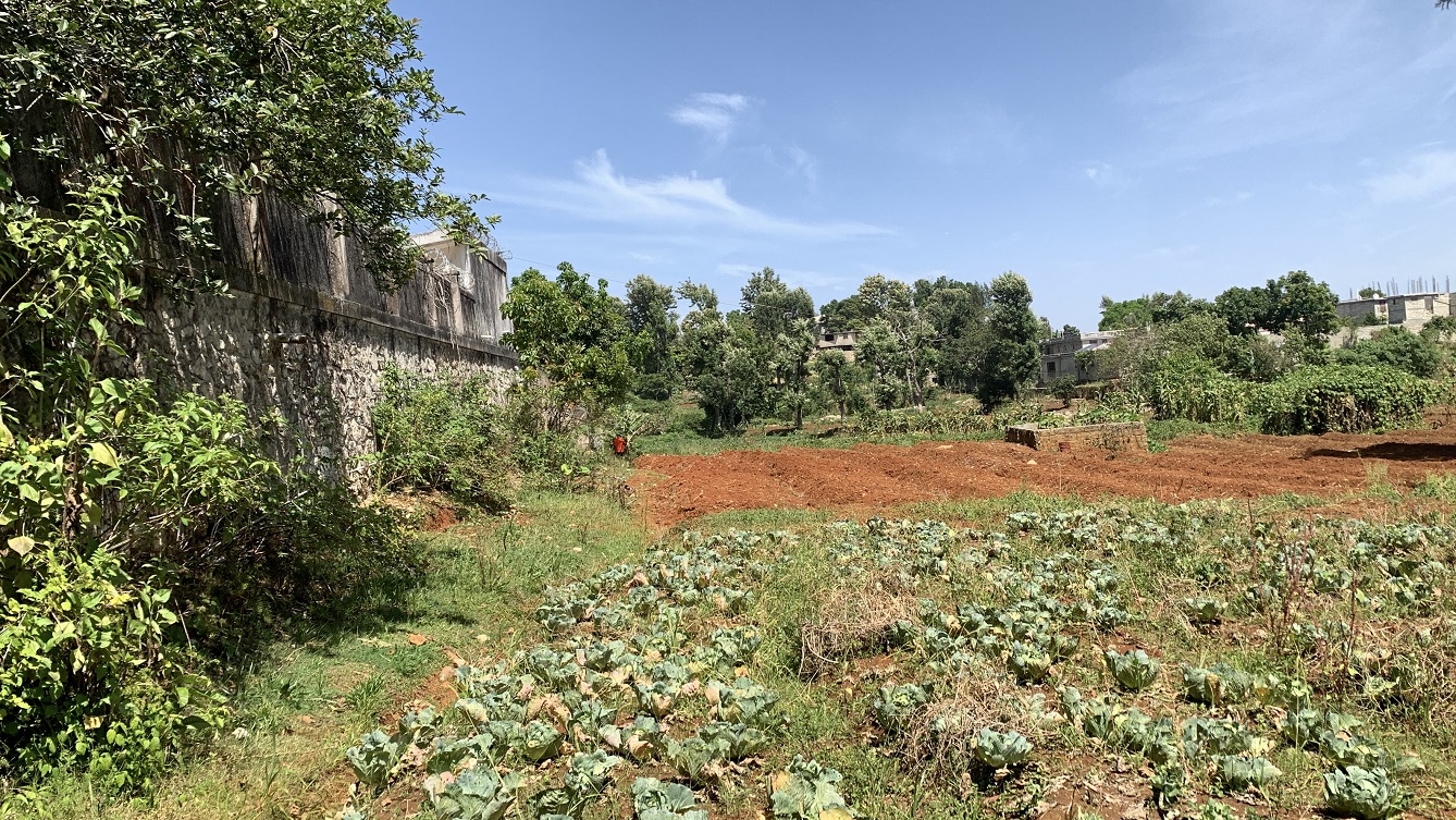 Premium Clear Title Land for Sale in Fort-Jacques, Kenscoff, Haiti Premium Clear Title Land for Sale in Fort-Jacques, Kenscoff, Haiti