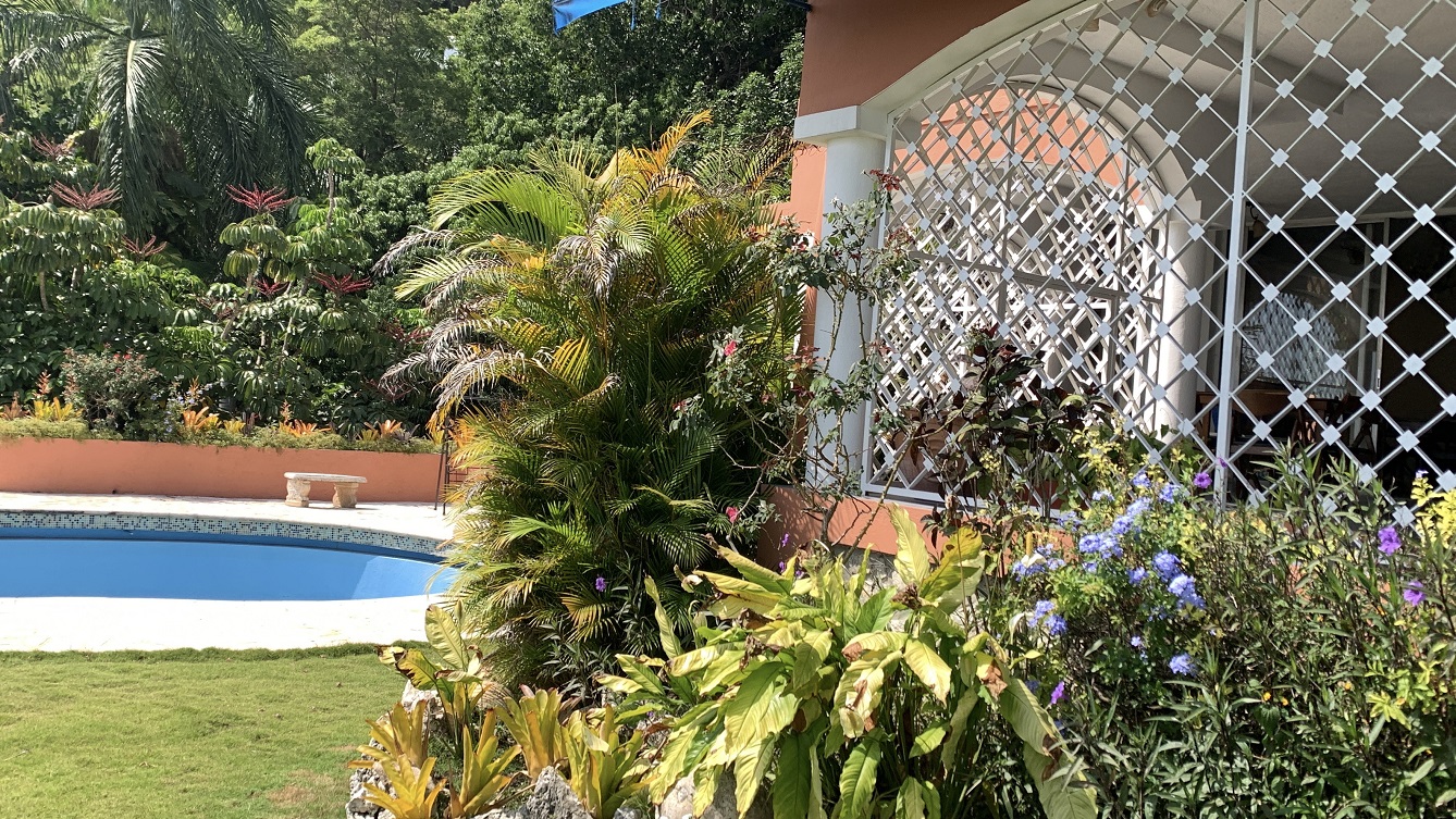 FURNISHED LUXURY MOUNTAIN ESTATE for RENT, Montagne Noire (Lower – Near Spain’s Embassy), Petion-Ville, Haiti – 4 Spacious Bedrooms, 5 Bathrooms, Office Space, Expensive Modern Antique Furniture, Modern Appliances, 24/7 Robust Solar-Powered Electricity, Backup Generator, Security Guards on Rotation, WiFi/Internet, Servant Quarter, Big Yards with Flowers, Lush Greenery & Manicured Grass, Gleaming Swimming Pool, Parking for 5+ Cars