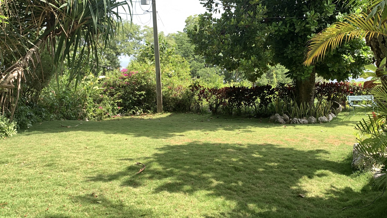 FURNISHED LUXURY MOUNTAIN ESTATE for RENT, Montagne Noire (Lower – Near Spain’s Embassy), Petion-Ville, Haiti – 4 Spacious Bedrooms, 5 Bathrooms, Office Space, Expensive Modern Antique Furniture, Modern Appliances, 24/7 Robust Solar-Powered Electricity, Backup Generator, Security Guards on Rotation, WiFi/Internet, Servant Quarter, Big Yards with Flowers, Lush Greenery & Manicured Grass, Gleaming Swimming Pool, Parking for 5+ Cars