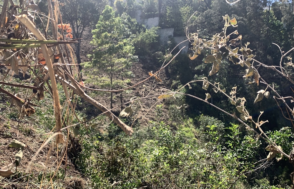 1170