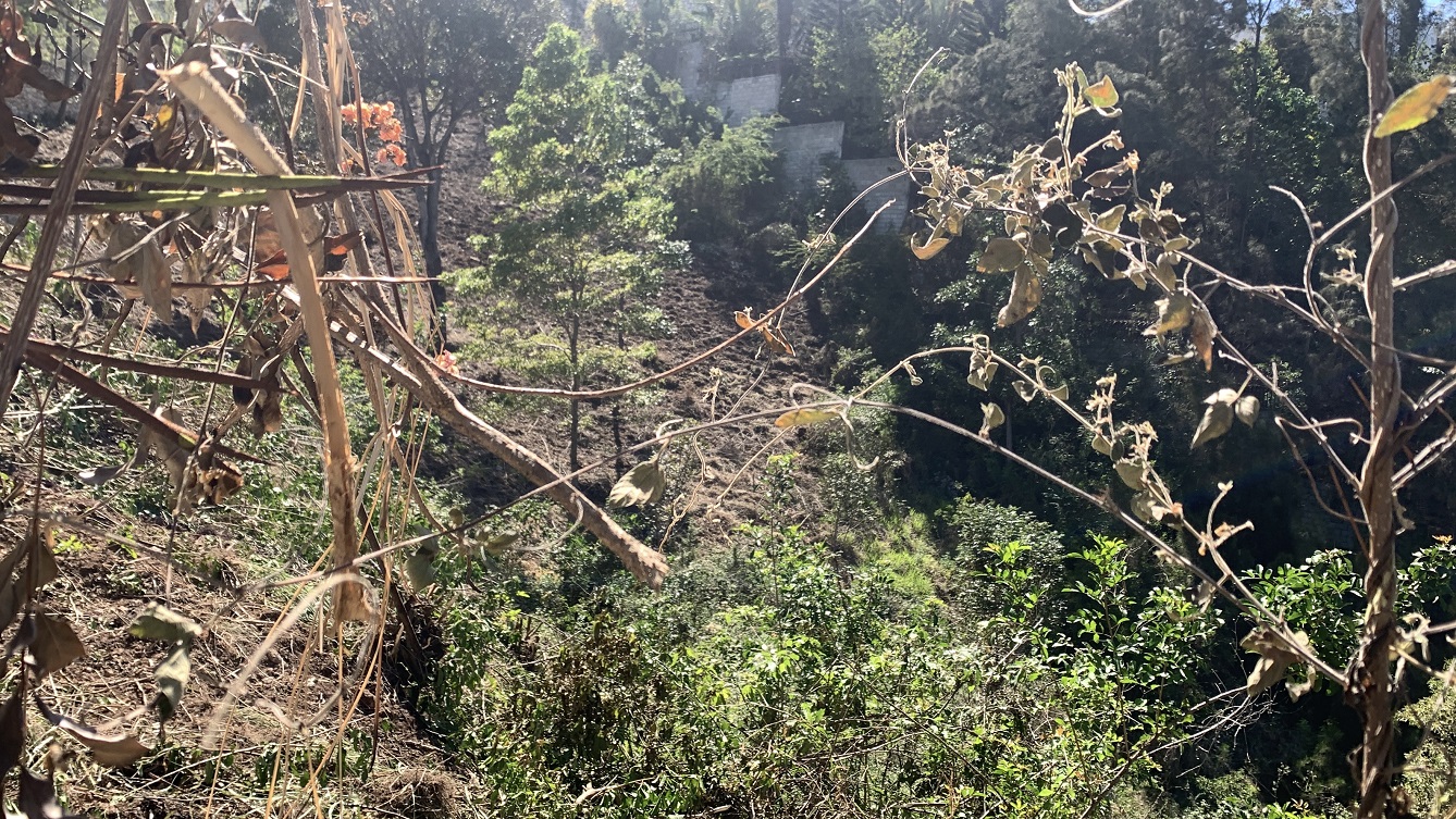 High-end Clear Title Land for Sale in Morne Calvaire (Upper) Petion-Ville, Haiti – 27 Centiemes (3,483 m², 37,491 ft², or 0.86 Acres) with Nicely Paved Roads, 100% Secure Suburban Neighborhood, Build-Ready, Completely Fenced & Gated – Build a Private Luxury House, Home, Mansion, a Business Such as an Apartment Complex, Airbnb, Bed & Breakfast Business, Just a Few Ideas
