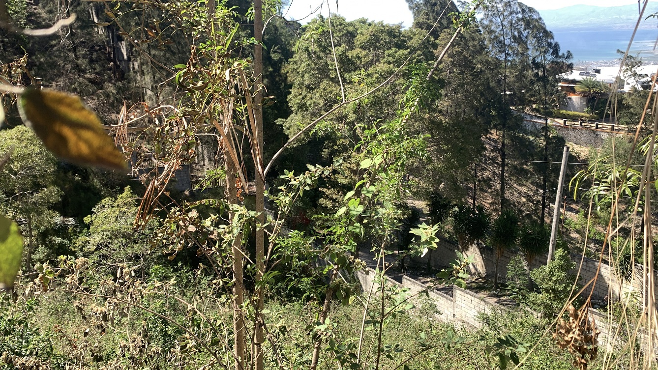 High-end Clear Title Land for Sale in Morne Calvaire (Upper) Petion-Ville, Haiti – 27 Centiemes (3,483 m², 37,491 ft², or 0.86 Acres) with Nicely Paved Roads, 100% Secure Suburban Neighborhood, Build-Ready, Completely Fenced & Gated – Build a Private Luxury House, Home, Mansion, a Business Such as an Apartment Complex, Airbnb, Bed & Breakfast Business, Just a Few Ideas