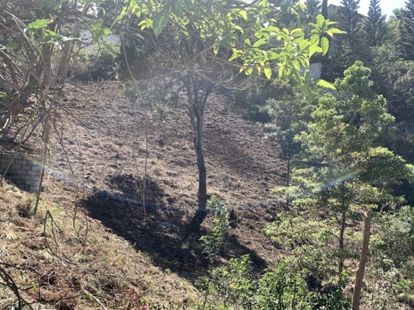 High-end Land for Sale, Morne Calvaire, Petion-Ville, Haiti | 3483m²