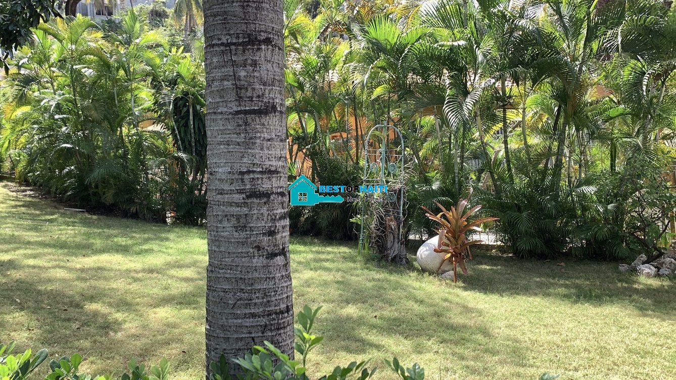 Luxury Fully Furnished Mansion for Rent in the Montana Hotel area of Petion-Ville, Haiti – 5 Spacious Bedrooms, 6 Bathrooms, Sparkling Swimming Pool, Jacuzzi, Whirlpool Jacuzzi Tubs, Air-Conditioner Units (A/C), Ceiling Fans, Washer/Dryer, Breathtaking Views, Strong Solar-Powered Electricity System, Bulletproof Doors/Windowns, Parking for 10 Cars, Servant Quarter, Round-the-Clock Armed Security Guards, Elicopter Landing Pad & More…