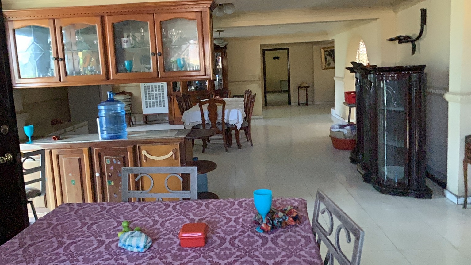 Palace-Style Villa for Sale, Vivy Mitchell, Petion-Ville, Haiti – House or Home has 6 Spacious Bedrooms, 5 1/2 Bathrooms, Multiple Grand Living & Dining Rooms, Majestic Kitchen, Whirlpool Jacuzzi Tub in Master Bedroom, Walk-in Closet, Basement Game Room & Gym, Floor-to-Ceiling Windows, Big Balconies, Terrace & Decks, Indoor & Outdoor Seating Areas, Ample Front-Back Yard Space, Reserved Space for Swimming Pool, Fruits, Vegetables, Tropical Trees, Two Gates, Brick Fence, Parking for 13+ Cars