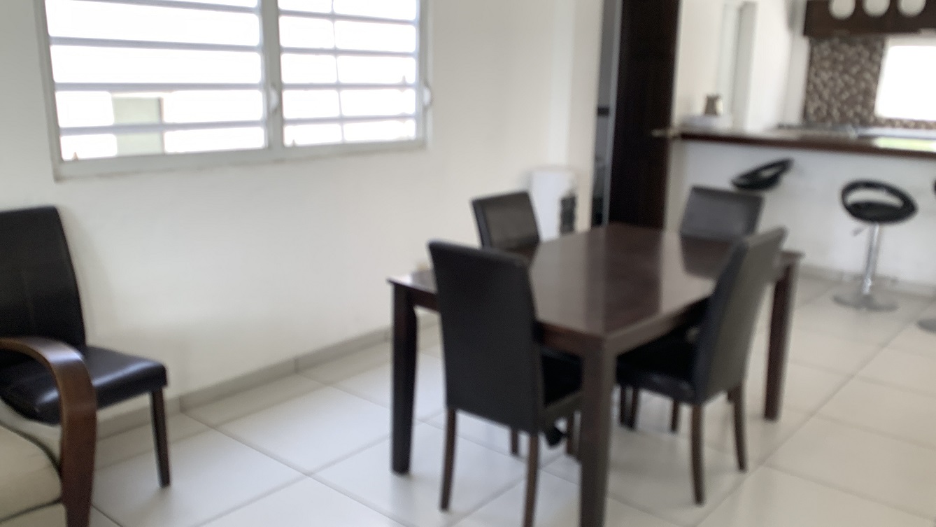 ALL-INCLUSIVE, Move-in Ready, Independent Luxury Furnished Apartment for RENT in Bourdon (Reimbol), Port-au-Prince, Haiti – 3 Spacious Bedrooms, 2.5 Super Clean Bathrooms, Stylish Living/Dining Rooms with Brand-New Contemporary Furniture & Appliances, Smart Kitchen, Private Backyard, Air Conditioner Units (A/C), Ceiling Fans, Washer/Dryer, Starlink High-Speed Internet, Satellite TV, 24/7 Electricity & Sparkling Swimming Pool, Multiple Parking Spaces