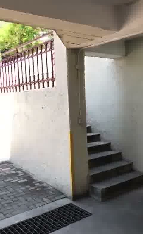 480