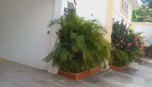 Large 5-Bedroom House for Rent in Breda #2, Cap-Haïtien, Haiti – 5 Spacious Bedrooms, 4.5 Bathrooms, Open Living & Dining Rooms, Renovated Kitchen, Multi-Family Home, Servant Quarter, High-Walls/Fences, 2 Entrance/Exit Gates, 5-Car Parking Space, Ideal for Big Family, International Organization Office, Headquarters, or Residence
