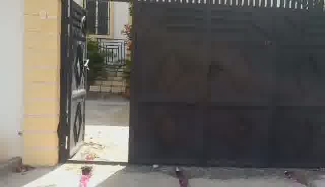 Large 5-Bedroom House for Rent in Breda #2, Cap-Haïtien, Haiti – 5 Spacious Bedrooms, 4.5 Bathrooms, Open Living & Dining Rooms, Renovated Kitchen, Multi-Family Home, Servant Quarter, High-Walls/Fences, 2 Entrance/Exit Gates, 5-Car Parking Space, Ideal for Big Family, International Organization Office, Headquarters, or Residence