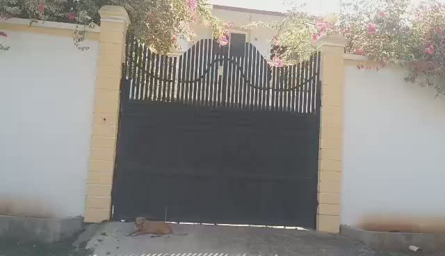 Large 5-Bedroom House for Rent in Breda #2, Cap-Haïtien, Haiti – 5 Spacious Bedrooms, 4.5 Bathrooms, Open Living & Dining Rooms, Renovated Kitchen, Multi-Family Home, Servant Quarter, High-Walls/Fences, 2 Entrance/Exit Gates, 5-Car Parking Space, Ideal for Big Family, International Organization Office, Headquarters, or Residence