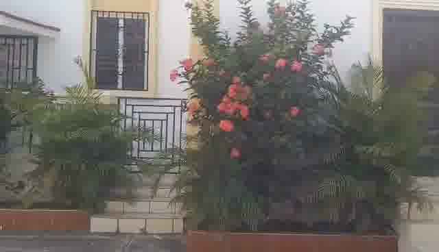 Large 5-Bedroom House for Rent in Breda #2, Cap-Haïtien, Haiti – 5 Spacious Bedrooms, 4.5 Bathrooms, Open Living & Dining Rooms, Renovated Kitchen, Multi-Family Home, Servant Quarter, High-Walls/Fences, 2 Entrance/Exit Gates, 5-Car Parking Space, Ideal for Big Family, International Organization Office, Headquarters, or Residence