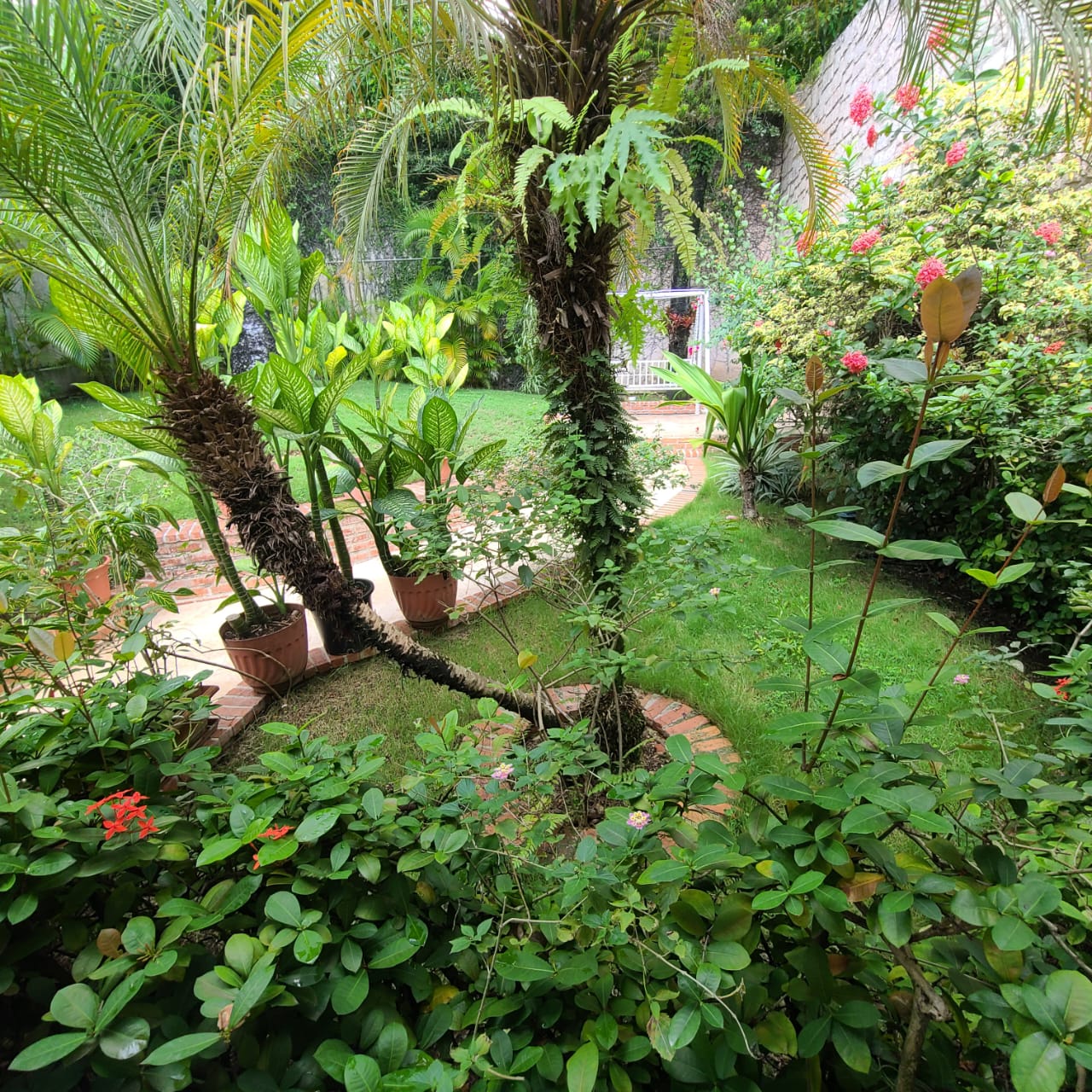 Stunning Furnished House for SALE in Lower Morne Calvaire, Petion-Ville, Haiti – 3 Spacious Bedrooms with Modern High-end Furniture & Appliances, Capacious Living/Dining Rooms, 3 1/2 Stylish Bathrooms, Gourmet Kitchen, Panoramic Living/Dining Rooms, Radiant Swimming Pool with Chairs, Chaise Loungers, & Tables, Multiple Seating Areas, Exclusive/Private Neighborhood, Robust 24/7 Solar-Powered Electricity System, Servant/Security Quarters, Manicure, Lush Green Trees