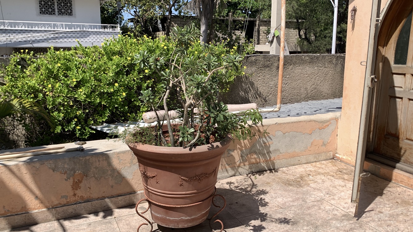 Cheap, Expansive, Sold by Owner House for Sale in Delmas 41 (Faustin 1ere), Port-au-Prince, Haiti – 6 Spacious Bedrooms, 7 Bathrooms, 3 Living Rooms, 2 Dining Rooms, 2 Kitchens, Swimming Pool, Play Area, Servant Quarter, Built in 2026 on 516m² (4 Centiemes or 5,554.18) of Flat Land, Parking Available for 4+ Cars with 2 Covered, High Walls/Fences, Safe Residential Neighborhood – Largest Master’s Bedroom in a Multi-Family Home
