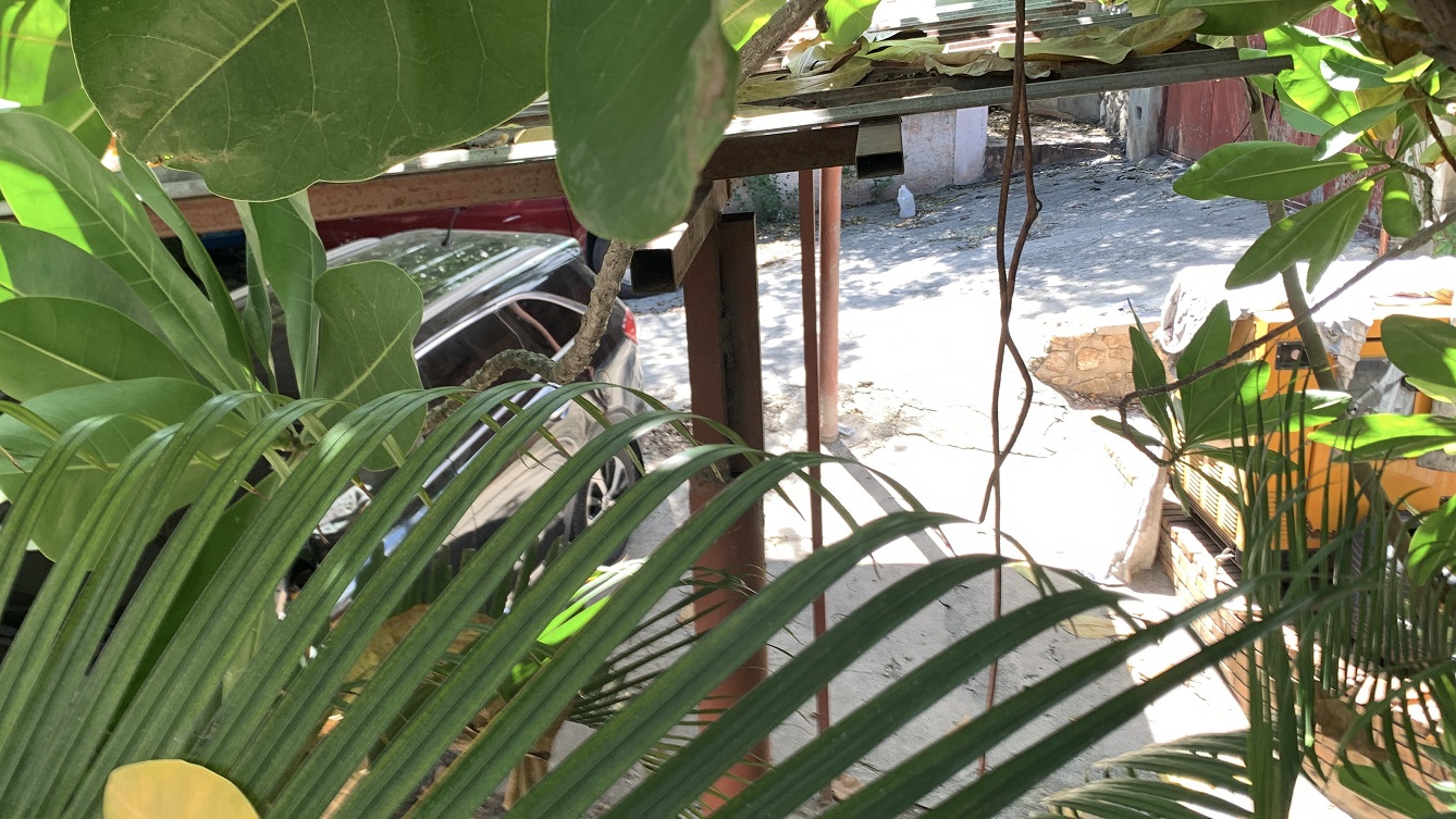 Cheap, Expansive, Sold by Owner House for Sale in Delmas 41 (Faustin 1ere), Port-au-Prince, Haiti – 6 Spacious Bedrooms, 7 Bathrooms, 3 Living Rooms, 2 Dining Rooms, 2 Kitchens, Swimming Pool, Play Area, Servant Quarter, Built in 2026 on 516m² (4 Centiemes or 5,554.18) of Flat Land, Parking Available for 4+ Cars with 2 Covered, High Walls/Fences, Safe Residential Neighborhood – Largest Master’s Bedroom in a Multi-Family Home