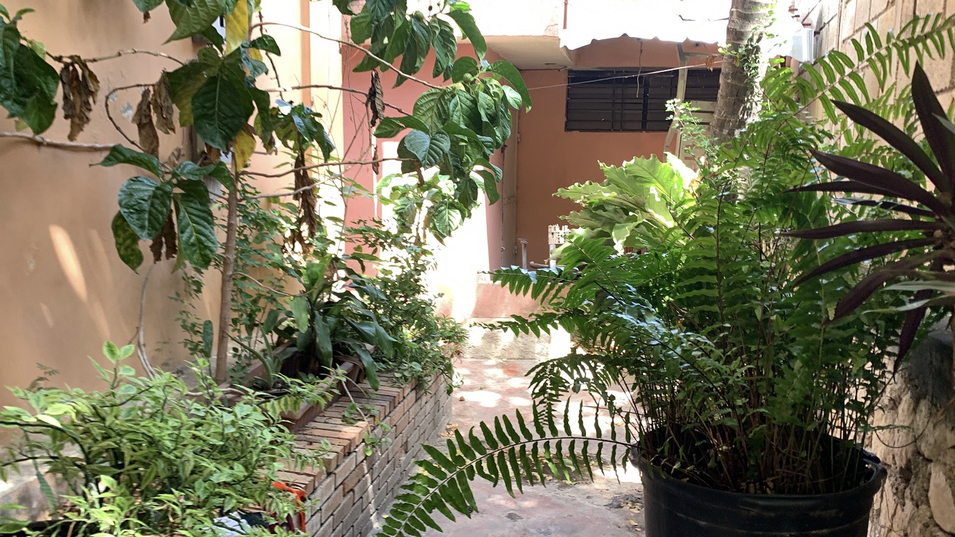 Cheap, Expansive, Sold by Owner House for Sale in Delmas 41 (Faustin 1ere), Port-au-Prince, Haiti – 6 Spacious Bedrooms, 7 Bathrooms, 3 Living Rooms, 2 Dining Rooms, 2 Kitchens, Swimming Pool, Play Area, Servant Quarter, Built in 2026 on 516m² (4 Centiemes or 5,554.18) of Flat Land, Parking Available for 4+ Cars with 2 Covered, High Walls/Fences, Safe Residential Neighborhood – Largest Master’s Bedroom in a Multi-Family Home