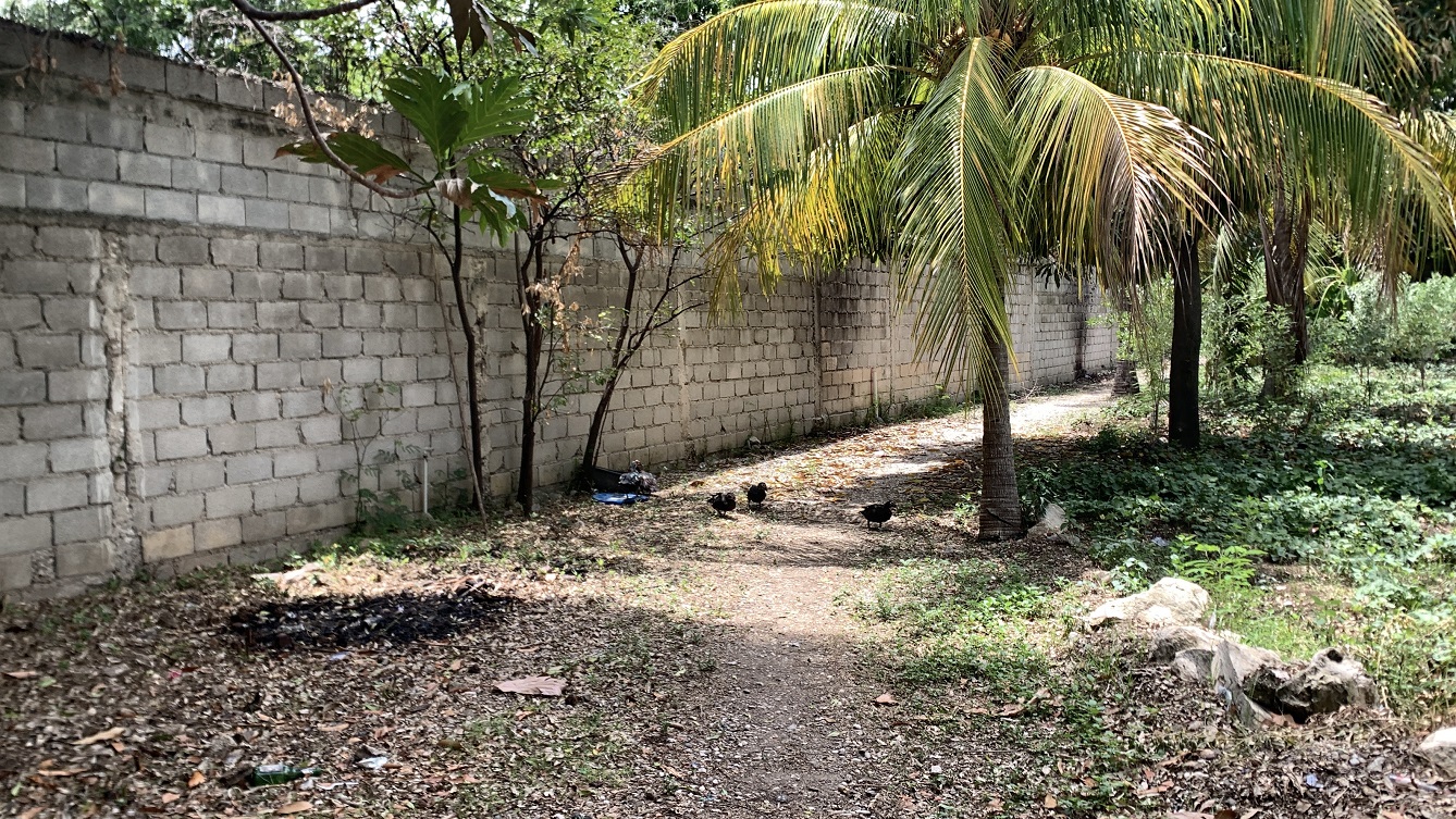 Cheap Flat Land with Small House for Sale in Santo 7, Croix-des-Bouquets, Haiti – 6 Centiemes (774 m² or 8,331 ft²), Completely Fenced with Bricks, Protective Metal Gate, Build-Ready, Rich Soil, Cul-de-Sac Entrance, Move-in While Building a Bigger House, Hotel, or Apartment Complex