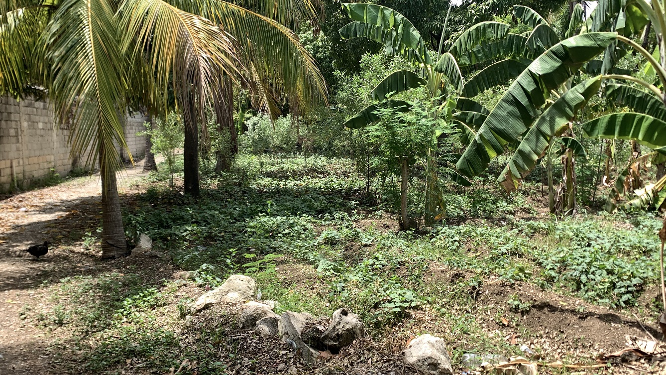 Cheap Flat Land with Small House for Sale in Santo 7, Croix-des-Bouquets, Haiti – 6 Centiemes (774 m² or 8,331 ft²), Completely Fenced with Bricks, Protective Metal Gate, Build-Ready, Rich Soil, Cul-de-Sac Entrance, Move-in While Building a Bigger House, Hotel, or Apartment Complex