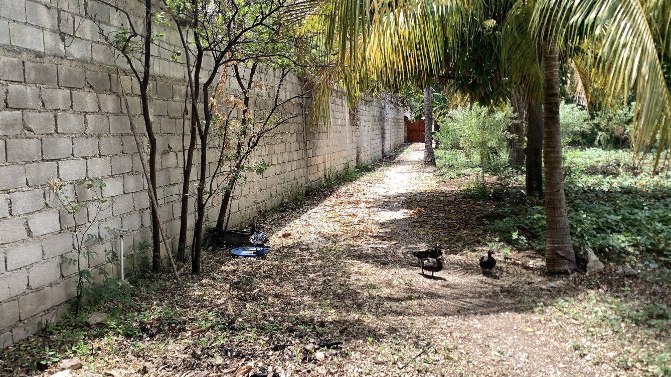 Cheap Flat Land with Small House for Sale in Santo 7, Croix-des-Bouquets, Haiti – 6 Centiemes (774 m² or 8,331 ft²), Completely Fenced with Bricks, Protective Metal Gate, Build-Ready, Rich Soil, Cul-de-Sac Entrance, Move-in While Building a Bigger House, Hotel, or Apartment Complex