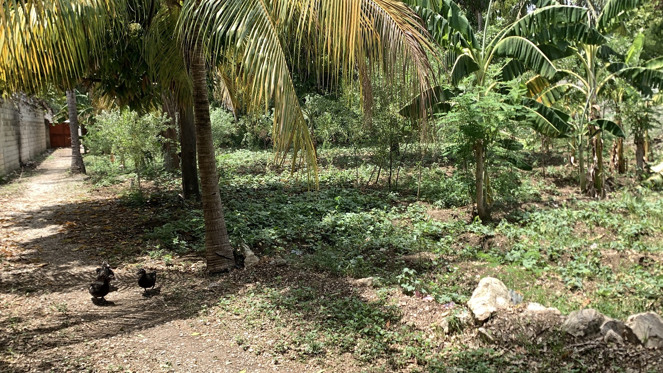 Cheap Flat Land with Small House for Sale in Santo 7, Croix-des-Bouquets, Haiti – 6 Centiemes (774 m² or 8,331 ft²), Completely Fenced with Bricks, Protective Metal Gate, Build-Ready, Rich Soil, Cul-de-Sac Entrance, Move-in While Building a Bigger House, Hotel, or Apartment Complex