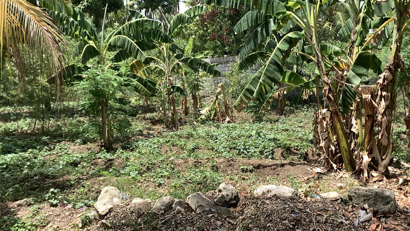 Cheap Flat Land with Small House for Sale in Santo 7, Croix-des-Bouquets, Haiti – 6 Centiemes (774 m² or 8,331 ft²), Completely Fenced with Bricks, Protective Metal Gate, Build-Ready, Rich Soil, Cul-de-Sac Entrance, Move-in While Building a Bigger House, Hotel, or Apartment Complex