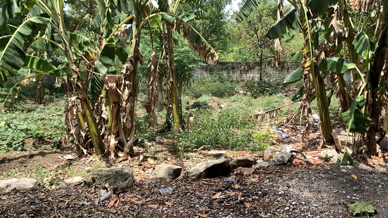 Cheap Flat Land with Small House for Sale in Santo 7, Croix-des-Bouquets, Haiti – 6 Centiemes (774 m² or 8,331 ft²), Completely Fenced with Bricks, Protective Metal Gate, Build-Ready, Rich Soil, Cul-de-Sac Entrance, Move-in While Building a Bigger House, Hotel, or Apartment Complex