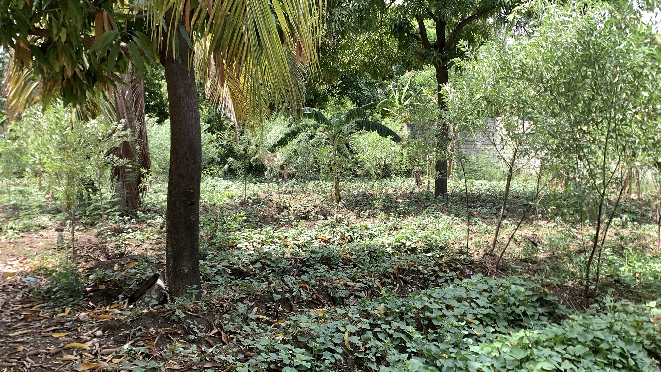 Cheap Flat Land with Small House for Sale in Santo 7, Croix-des-Bouquets, Haiti – 6 Centiemes (774 m² or 8,331 ft²), Completely Fenced with Bricks, Protective Metal Gate, Build-Ready, Rich Soil, Cul-de-Sac Entrance, Move-in While Building a Bigger House, Hotel, or Apartment Complex