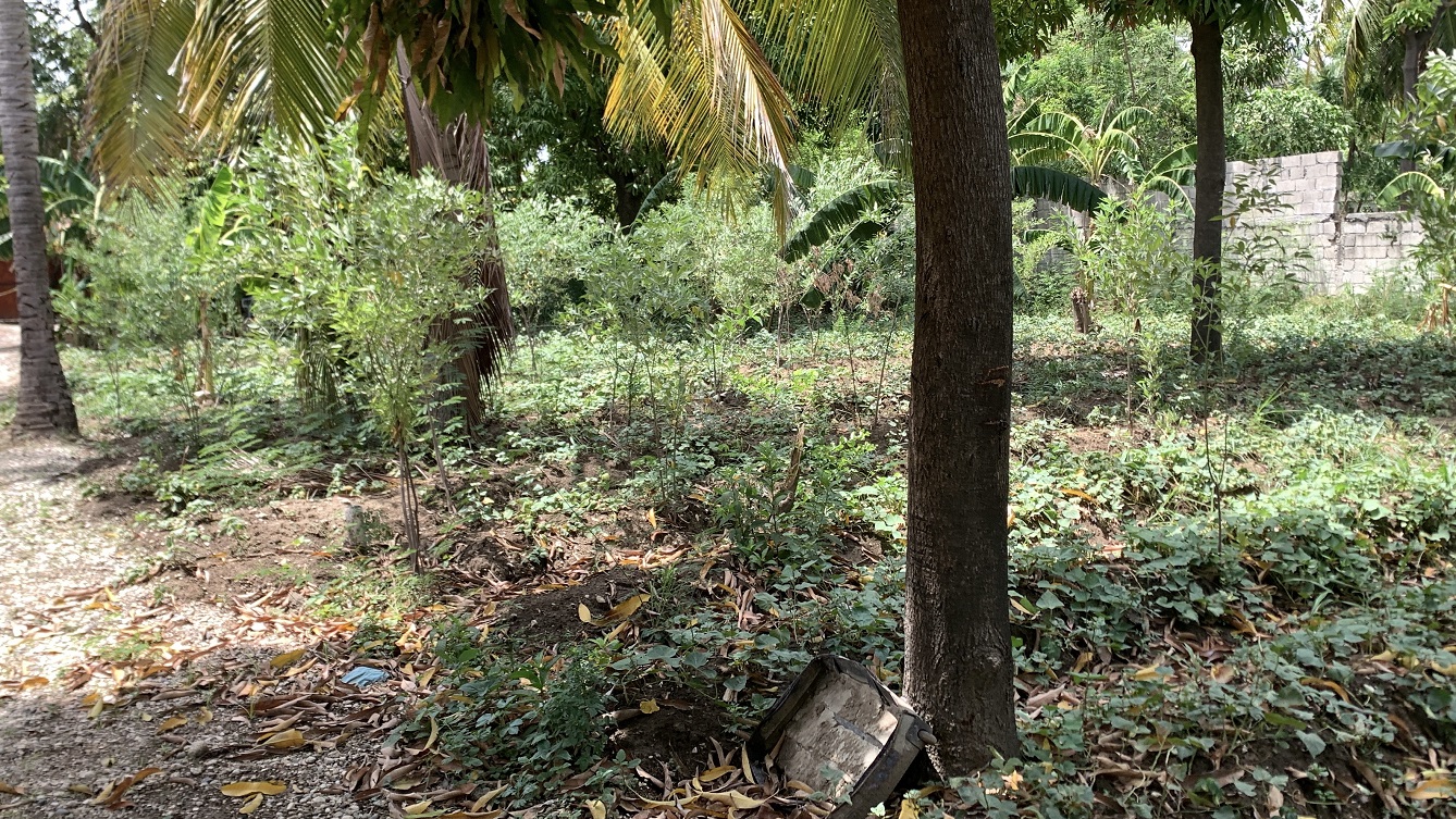 Cheap Flat Land with Small House for Sale in Santo 7, Croix-des-Bouquets, Haiti – 6 Centiemes (774 m² or 8,331 ft²), Completely Fenced with Bricks, Protective Metal Gate, Build-Ready, Rich Soil, Cul-de-Sac Entrance, Move-in While Building a Bigger House, Hotel, or Apartment Complex