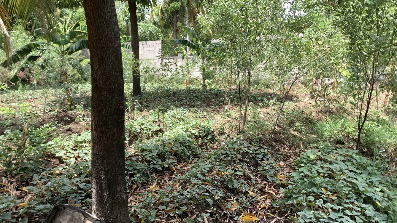 Cheap Flat Land with Small House for Sale in Santo 7, Croix-des-Bouquets, Haiti – 6 Centiemes (774 m² or 8,331 ft²), Completely Fenced with Bricks, Protective Metal Gate, Build-Ready, Rich Soil, Cul-de-Sac Entrance, Move-in While Building a Bigger House, Hotel, or Apartment Complex