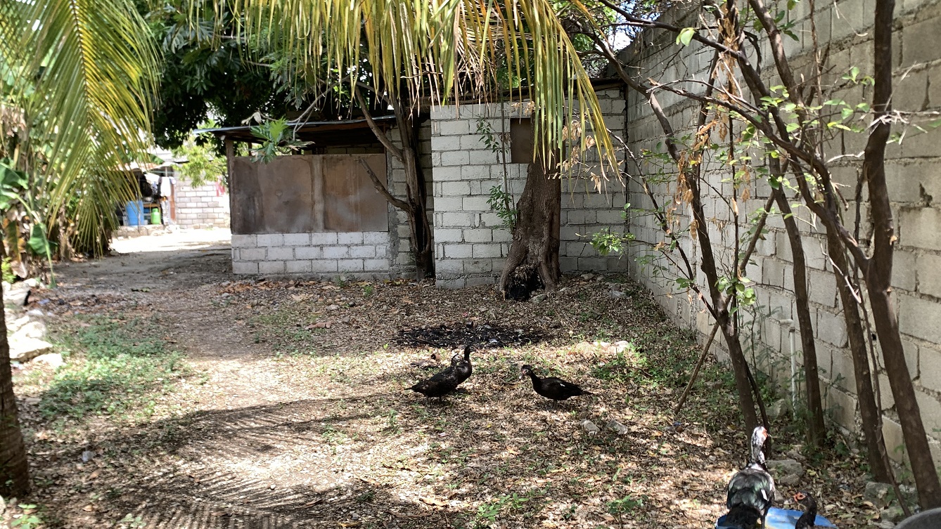 Cheap Flat Land with Small House for Sale in Santo 7, Croix-des-Bouquets, Haiti – 6 Centiemes (774 m² or 8,331 ft²), Completely Fenced with Bricks, Protective Metal Gate, Build-Ready, Rich Soil, Cul-de-Sac Entrance, Move-in While Building a Bigger House, Hotel, or Apartment Complex