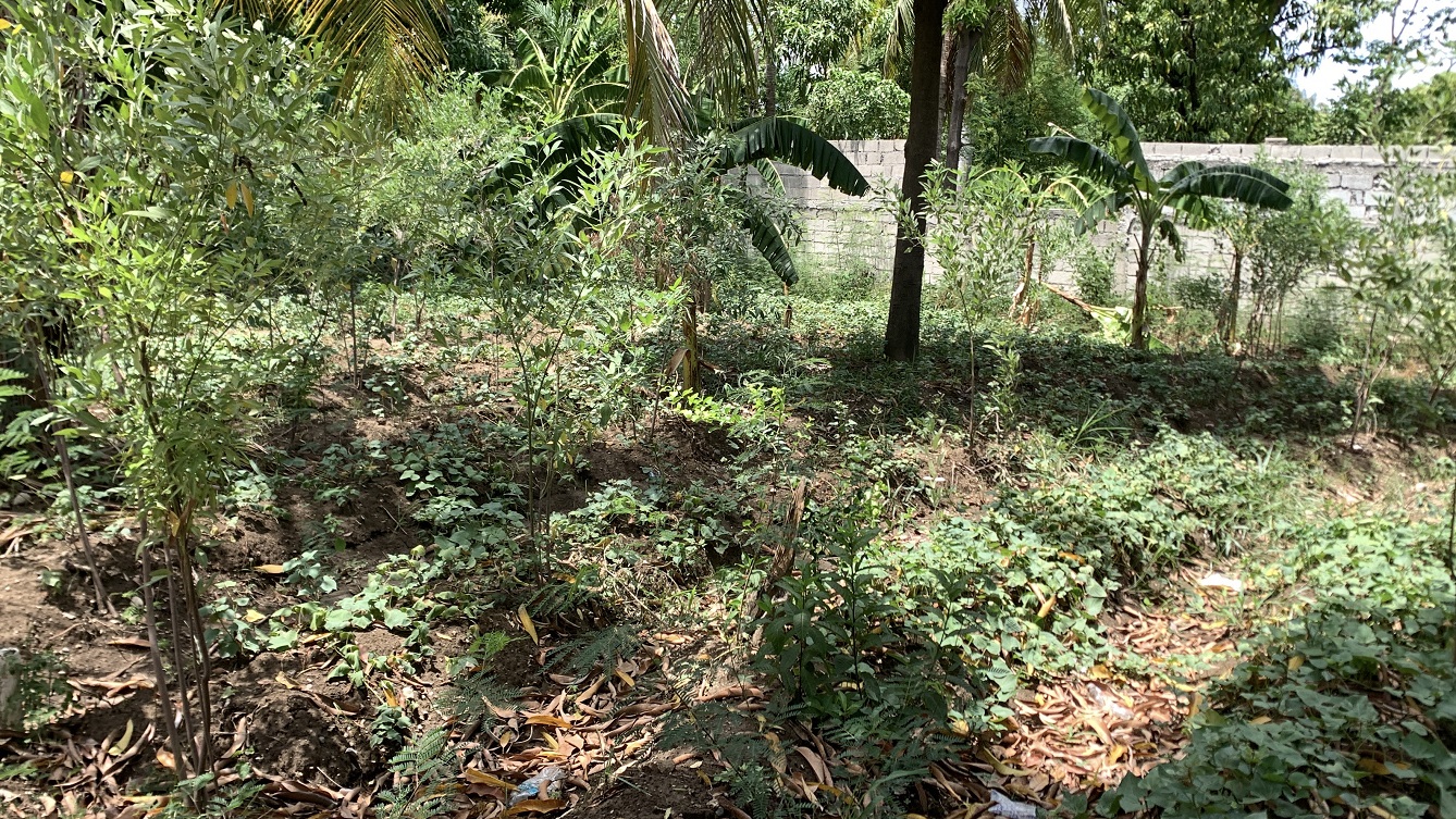 Cheap Flat Land with Small House for Sale in Santo 7, Croix-des-Bouquets, Haiti – 6 Centiemes (774 m² or 8,331 ft²), Completely Fenced with Bricks, Protective Metal Gate, Build-Ready, Rich Soil, Cul-de-Sac Entrance, Move-in While Building a Bigger House, Hotel, or Apartment Complex