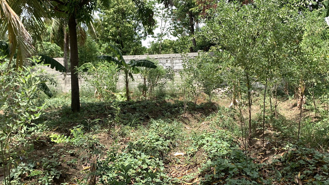 Cheap Flat Land with Small House for Sale in Santo 7, Croix-des-Bouquets, Haiti – 6 Centiemes (774 m² or 8,331 ft²), Completely Fenced with Bricks, Protective Metal Gate, Build-Ready, Rich Soil, Cul-de-Sac Entrance, Move-in While Building a Bigger House, Hotel, or Apartment Complex