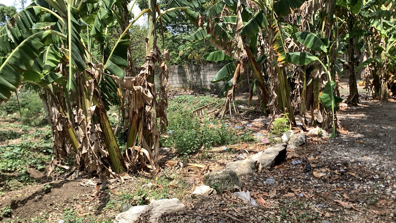 Cheap Flat Land with Small House for Sale in Santo 7, Croix-des-Bouquets, Haiti – 6 Centiemes (774 m² or 8,331 ft²), Completely Fenced with Bricks, Protective Metal Gate, Build-Ready, Rich Soil, Cul-de-Sac Entrance, Move-in While Building a Bigger House, Hotel, or Apartment Complex