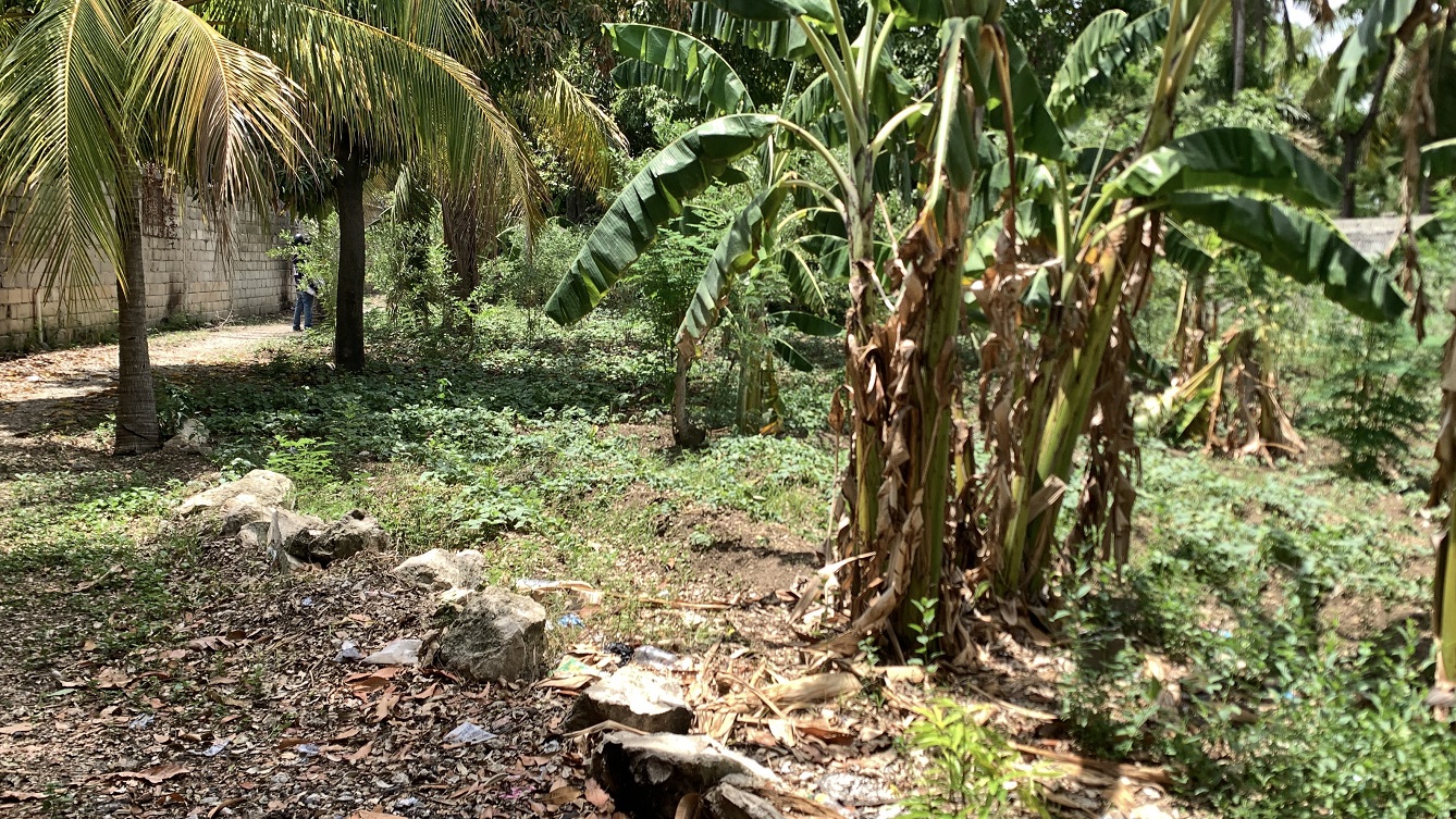 Cheap Flat Land with Small House for Sale in Santo 7, Croix-des-Bouquets, Haiti – 6 Centiemes (774 m² or 8,331 ft²), Completely Fenced with Bricks, Protective Metal Gate, Build-Ready, Rich Soil, Cul-de-Sac Entrance, Move-in While Building a Bigger House, Hotel, or Apartment Complex