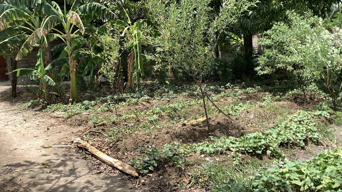 Cheap Flat Land with Small House for Sale in Santo 7, Croix-des-Bouquets, Haiti – 6 Centiemes (774 m² or 8,331 ft²), Completely Fenced with Bricks, Protective Metal Gate, Build-Ready, Rich Soil, Cul-de-Sac Entrance, Move-in While Building a Bigger House, Hotel, or Apartment Complex