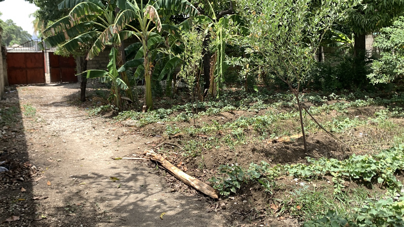 Cheap Flat Land with Small House for Sale in Santo 7, Croix-des-Bouquets, Haiti – 6 Centiemes (774 m² or 8,331 ft²), Completely Fenced with Bricks, Protective Metal Gate, Build-Ready, Rich Soil, Cul-de-Sac Entrance, Move-in While Building a Bigger House, Hotel, or Apartment Complex