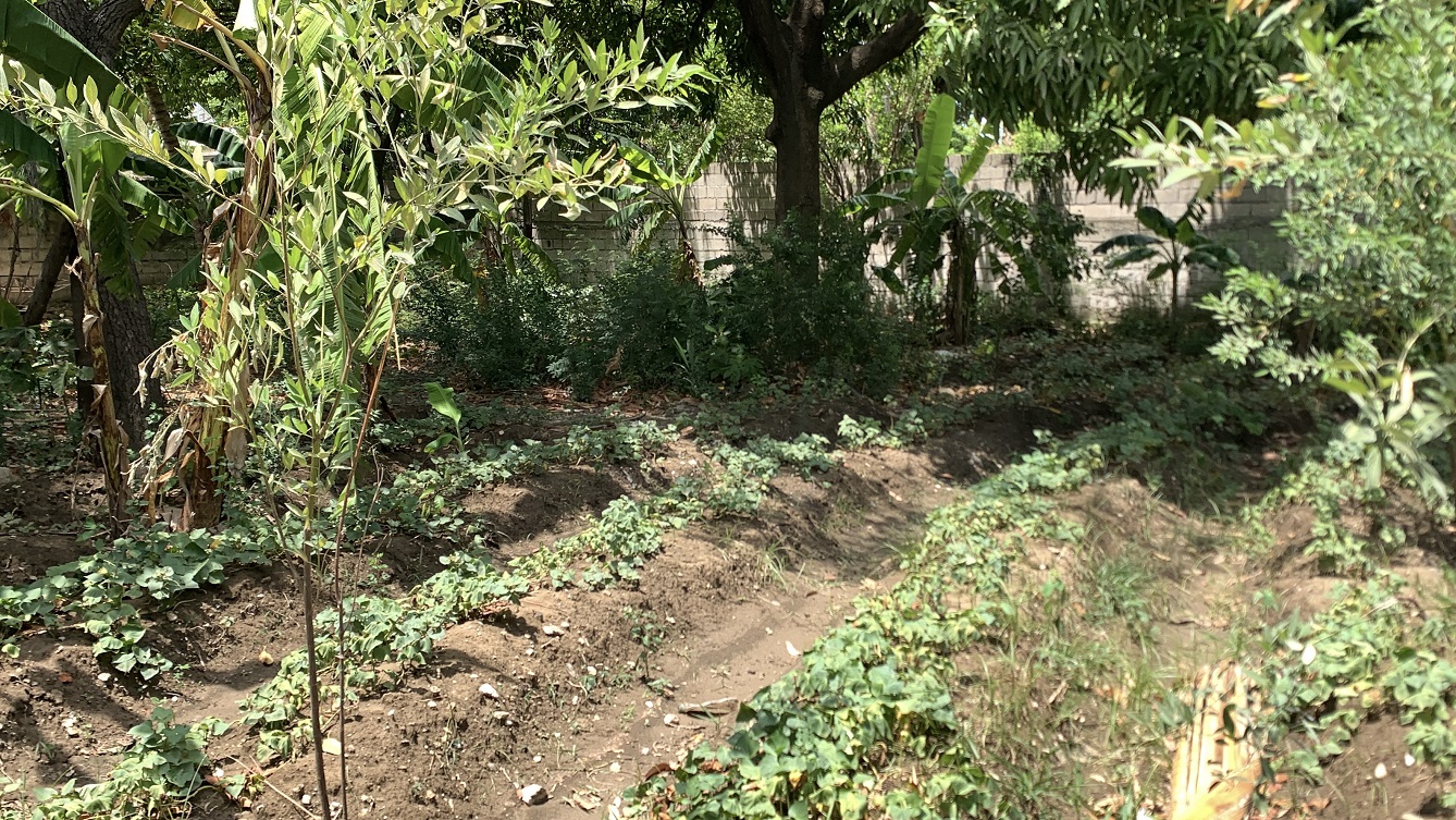 Cheap Flat Land with Small House for Sale in Santo 7, Croix-des-Bouquets, Haiti – 6 Centiemes (774 m² or 8,331 ft²), Completely Fenced with Bricks, Protective Metal Gate, Build-Ready, Rich Soil, Cul-de-Sac Entrance, Move-in While Building a Bigger House, Hotel, or Apartment Complex