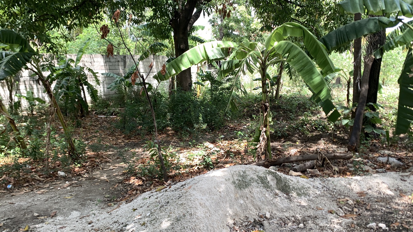 Cheap Flat Land with Small House for Sale in Santo 7, Croix-des-Bouquets, Haiti – 6 Centiemes (774 m² or 8,331 ft²), Completely Fenced with Bricks, Protective Metal Gate, Build-Ready, Rich Soil, Cul-de-Sac Entrance, Move-in While Building a Bigger House, Hotel, or Apartment Complex
