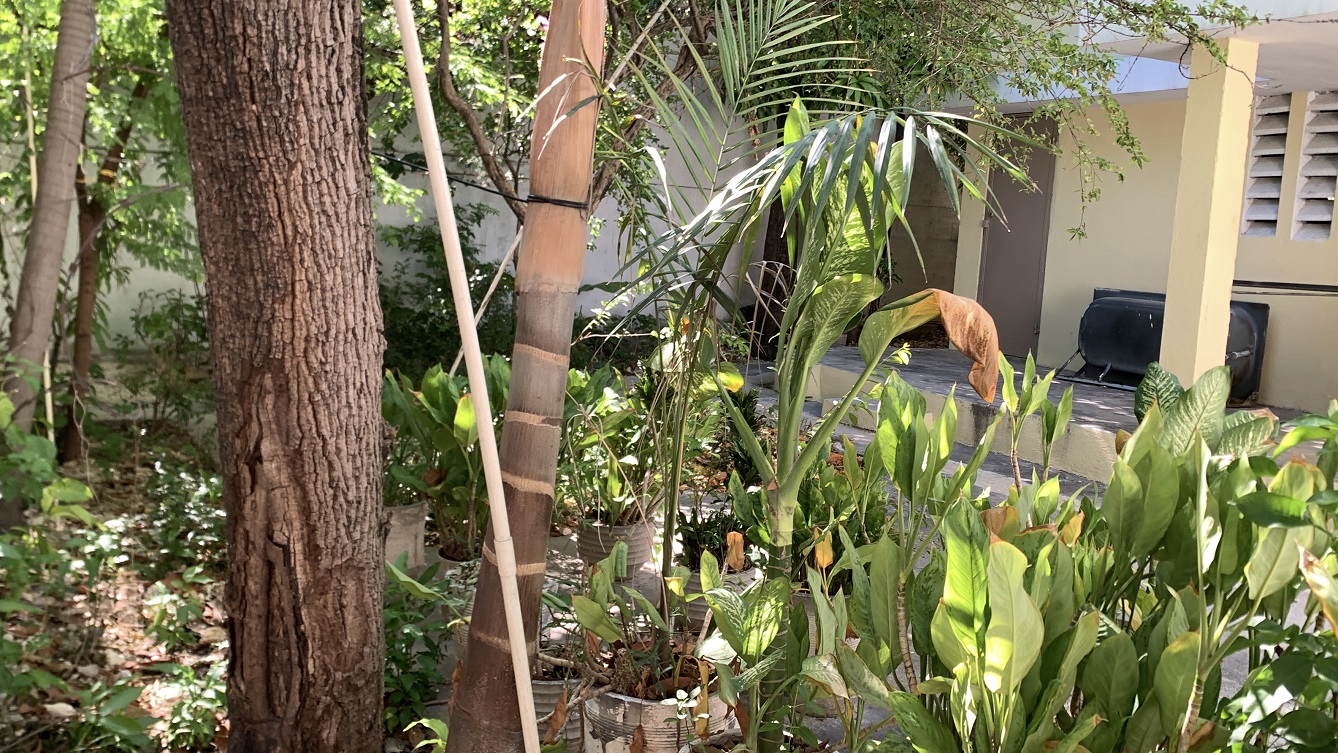Sold by Owner Spacious House for Sale in Delmas 65, Port-au-Prince, Haiti – 5 Grand Bedrooms, 4 Bathrooms, Living & Dining Rooms, Modern Kitchen, 3 Huge Balconies, Large Backyard, Servant Quarter, Storage Rooms, Water Reservoir & Towers,  Built in 1989 on 516m² (6 Centiemes or 5,554.18) of Flat Land, 5+ Car Parking Spaces, High Walls/Fences, Safe Mixed Residential & Commercial Neighborhood – 15+ Office Space Conversion or Private Multi-Family Home