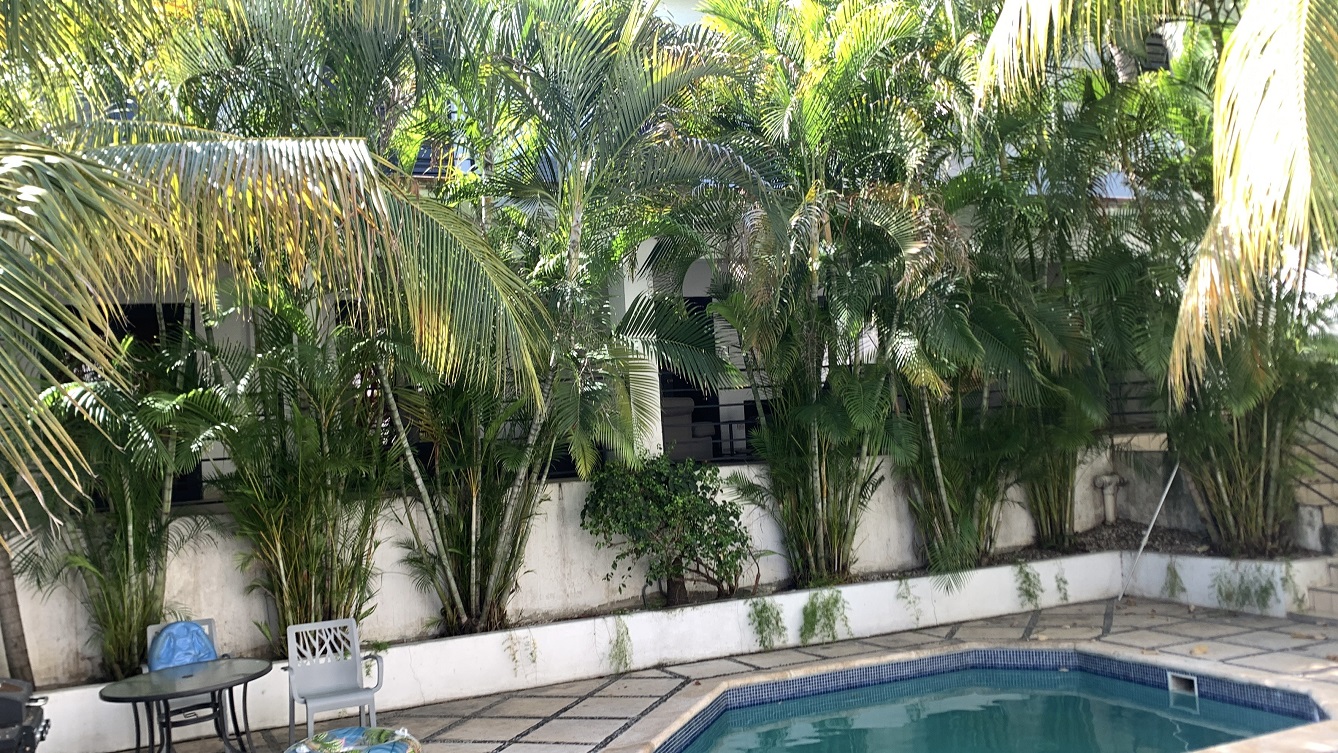 Profitable Luxury Furnished Apartments for Sale in Bourdon (Reimbol), Port-au-Prince, Haiti – 3 Complexes, 6 Units, 15 Bedrooms, 21 Bathrooms, Sparkling Swimming Pool, Fruits & Vegetables, Robust Solar-Powered System, Commercial-Size Power Generator – FULL CAPACITY YEAR-ROUND BUSINESS – Private/Exclusive Village with Three (3) Armed Guard Check-in Gates – Home to Haiti’s Oligarchs, United Nations Employees, ACTED, Solidarity, Ambassadors, etc.