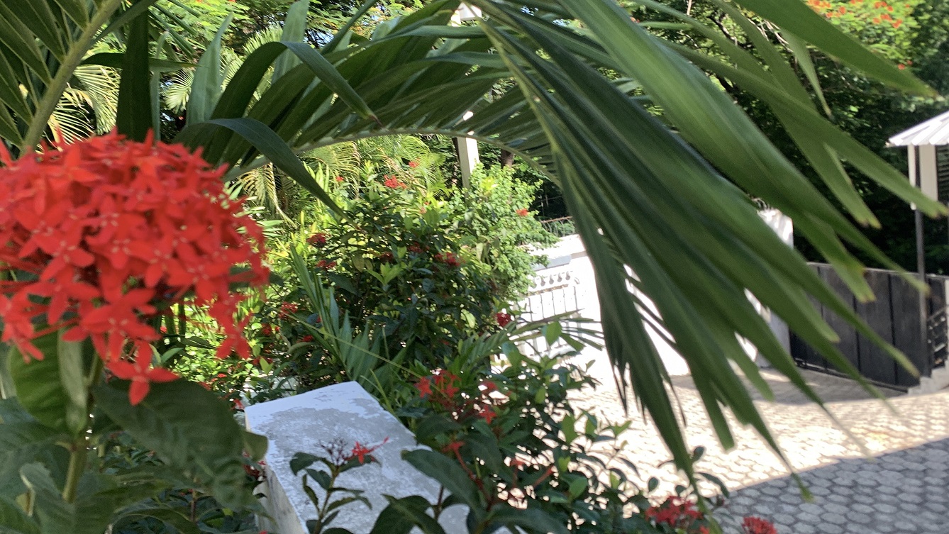Profitable Luxury Furnished Apartments for Sale in Bourdon (Reimbol), Port-au-Prince, Haiti – 3 Complexes, 6 Units, 15 Bedrooms, 21 Bathrooms, Sparkling Swimming Pool, Fruits & Vegetables, Robust Solar-Powered System, Commercial-Size Power Generator – FULL CAPACITY YEAR-ROUND BUSINESS – Private/Exclusive Village with Three (3) Armed Guard Check-in Gates – Home to Haiti’s Oligarchs, United Nations Employees, ACTED, Solidarity, Ambassadors, etc.
