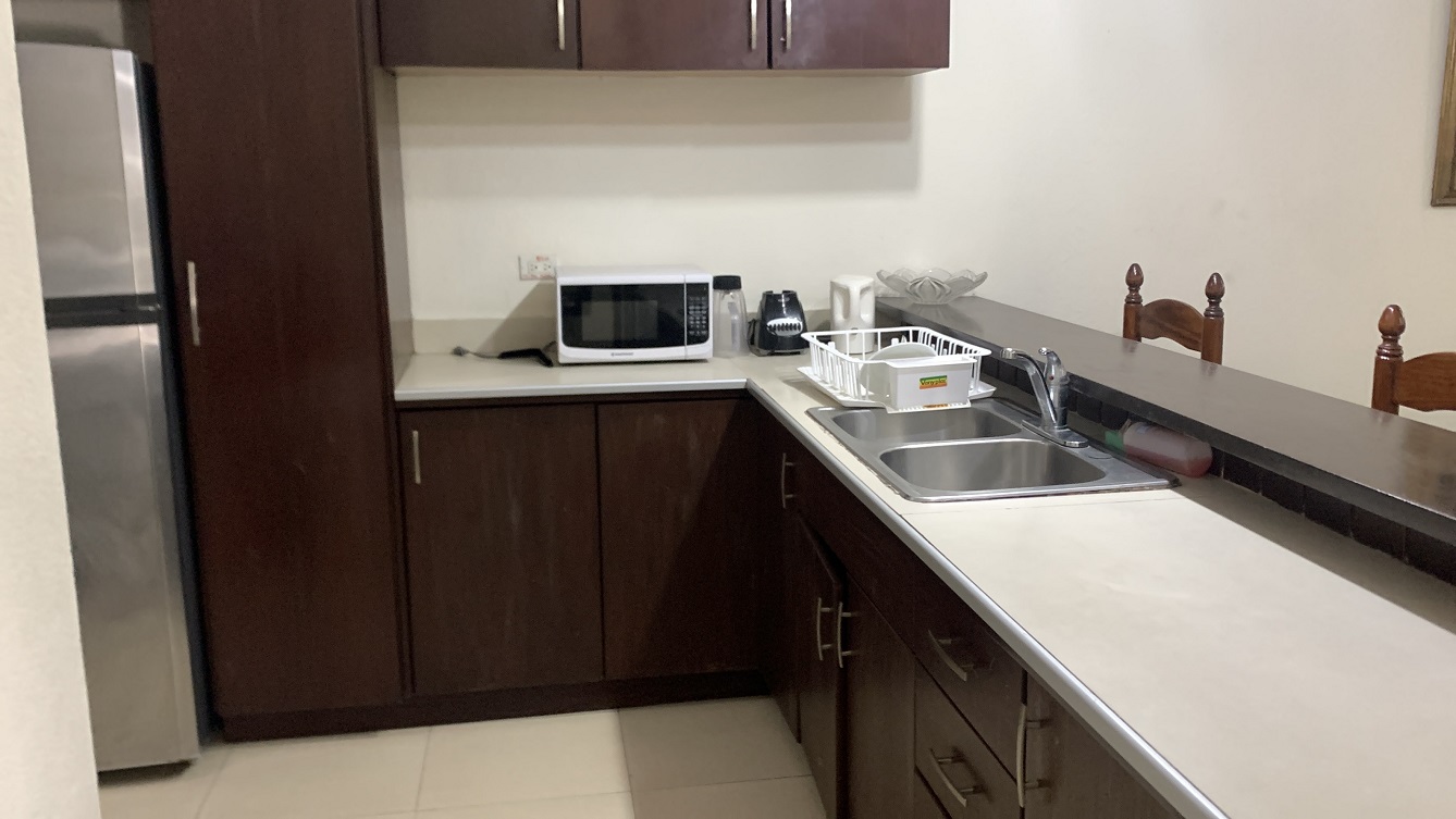 Profitable Luxury Furnished Apartments for Sale in Bourdon (Reimbol), Port-au-Prince, Haiti – 3 Complexes, 6 Units, 15 Bedrooms, 21 Bathrooms, Sparkling Swimming Pool, Fruits & Vegetables, Robust Solar-Powered System, Commercial-Size Power Generator – FULL CAPACITY YEAR-ROUND BUSINESS – Private/Exclusive Village with Three (3) Armed Guard Check-in Gates – Home to Haiti’s Oligarchs, United Nations Employees, ACTED, Solidarity, Ambassadors, etc.